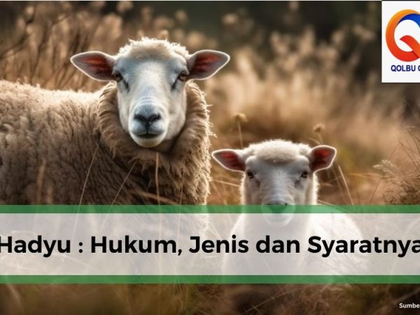 Perbedaan Dam dan Hadyu yang Harus Anda Ketahui